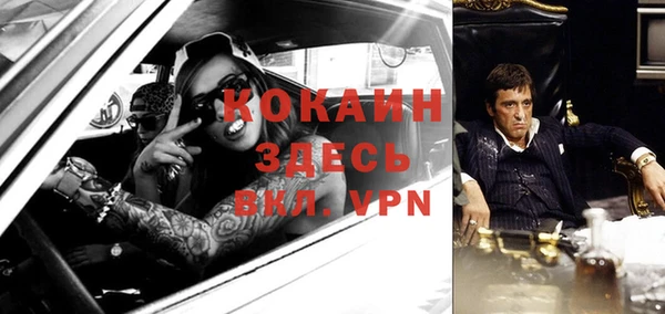шишки Семикаракорск